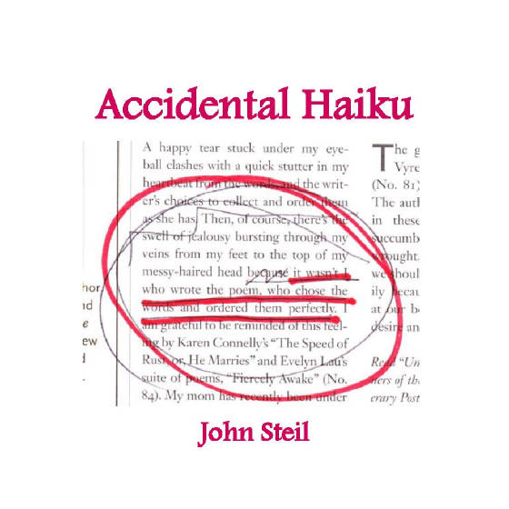 3AccidentalHaikufront.jpg